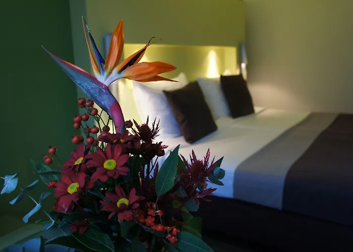 酒店 贝尔蒙特酒店 埃德